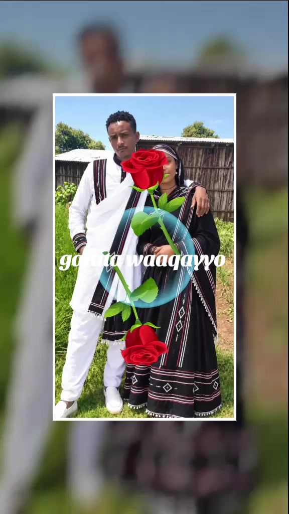 @masi hadhaa Tsiyoon