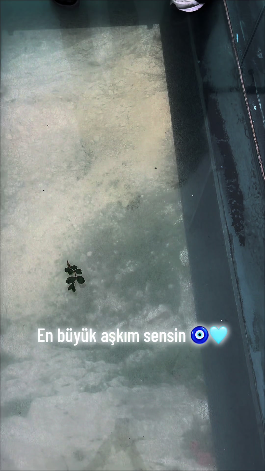 @Eylüllll