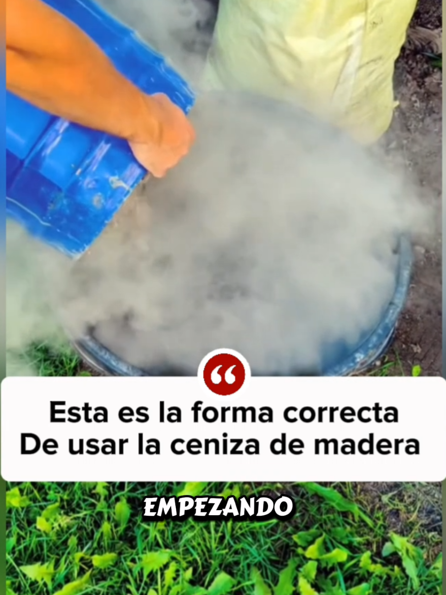 @Osshira| Jardineria y Huerto