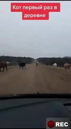 @Лариса