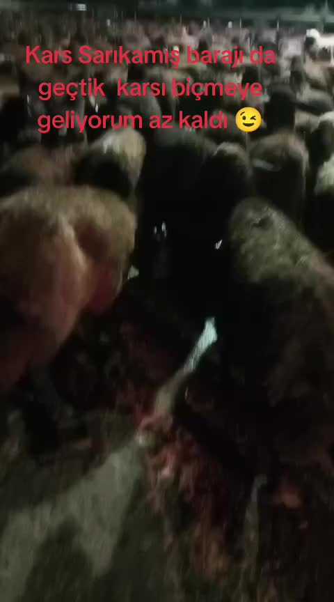 @FERHAT ÇUKU 76☀️