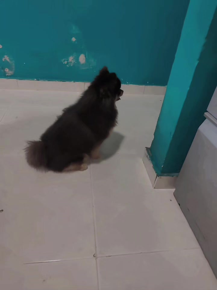 @Garc&iacute;a