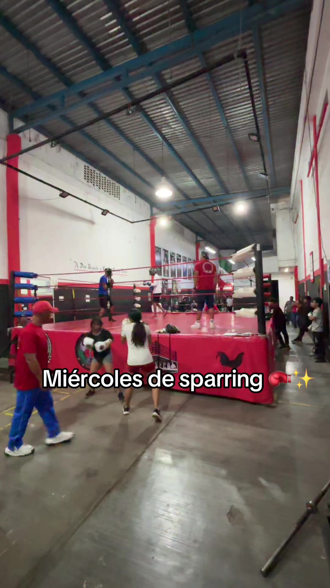 @Conmadres
