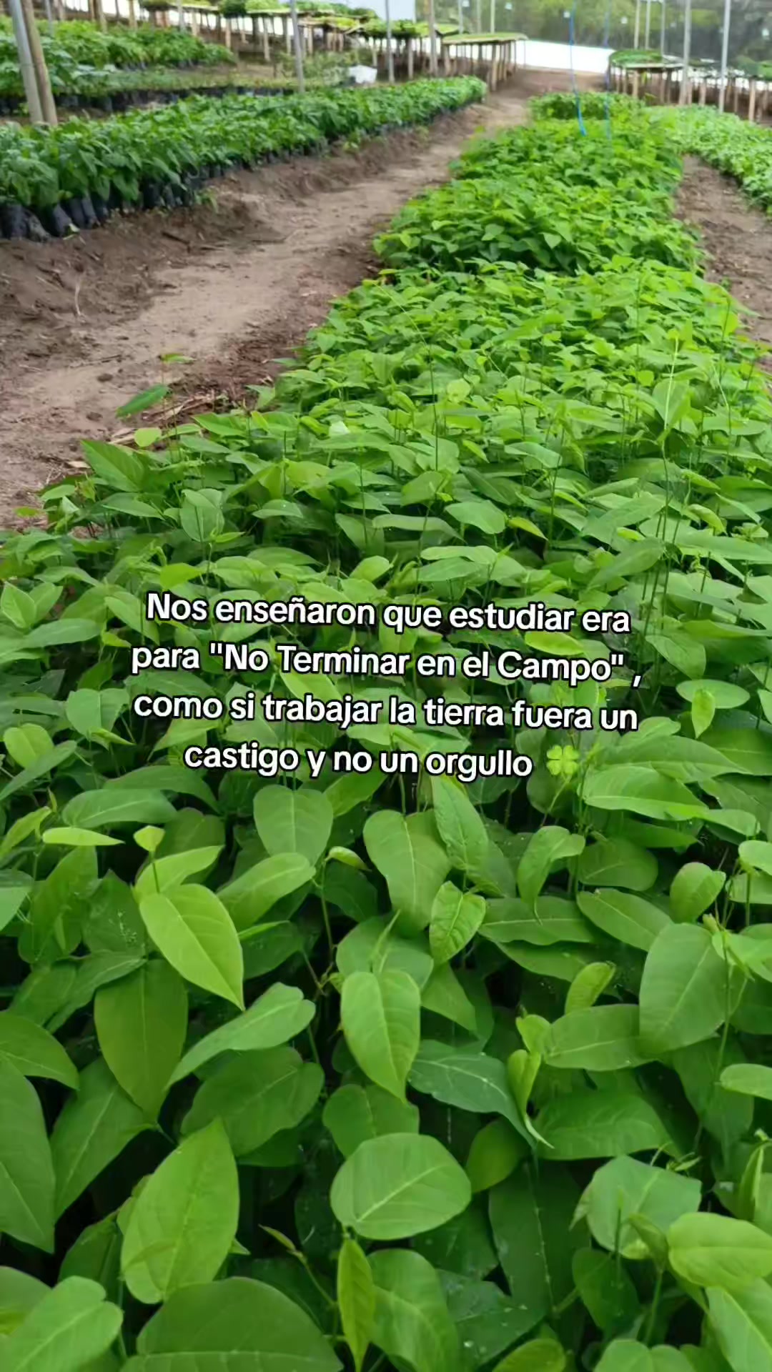 @Germi Plantas 🌱