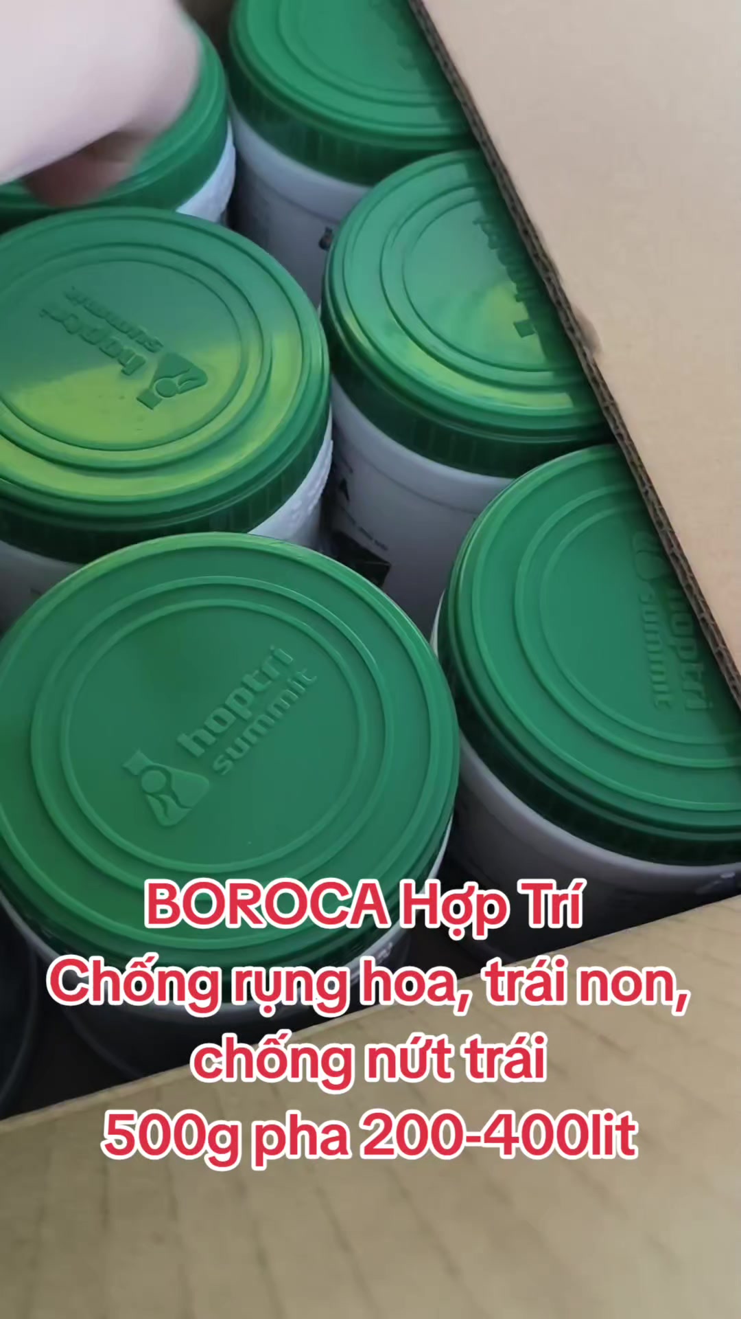 @VTNN Minh Tuấn
