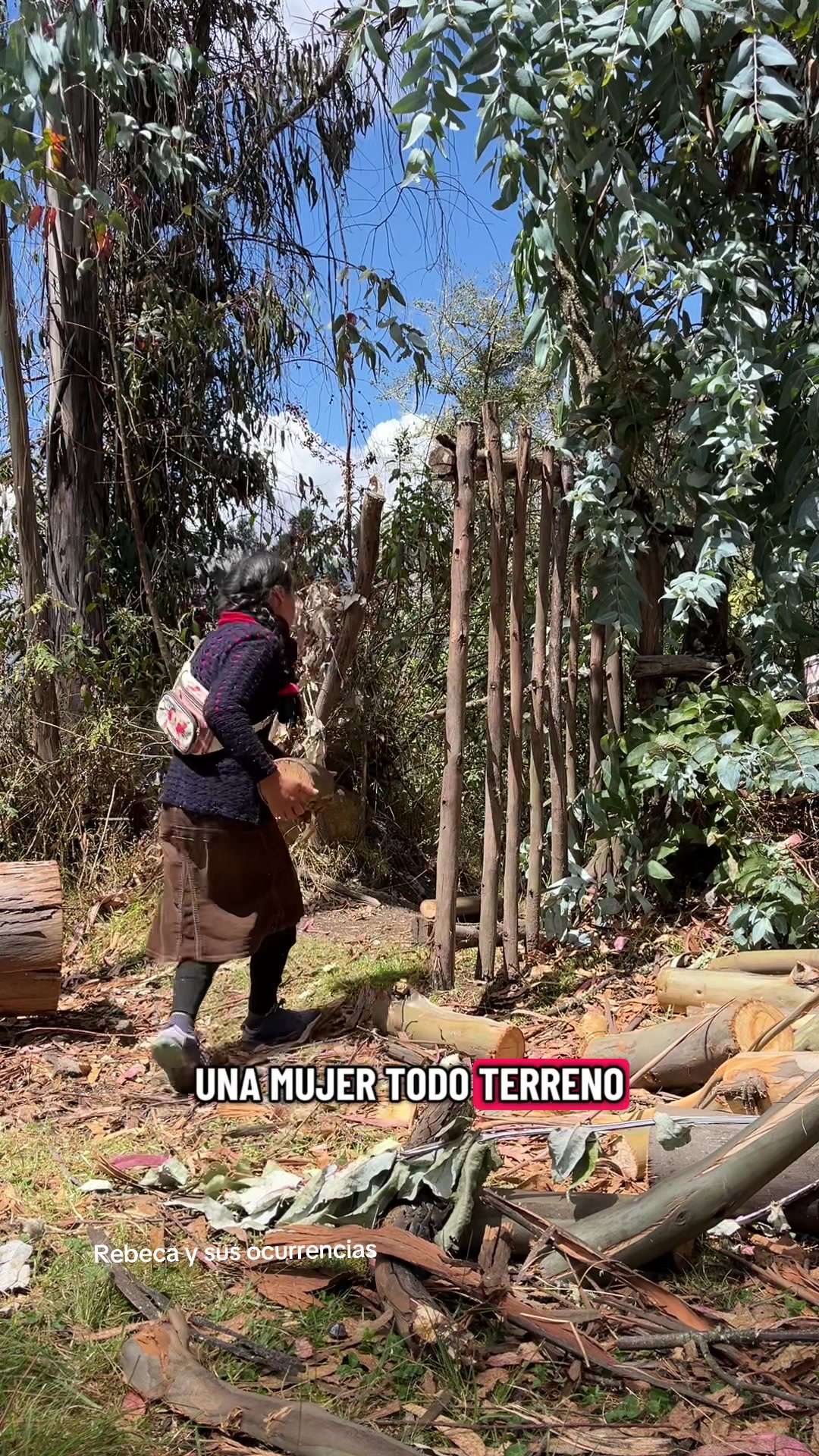 @🐈Rebeca y sus ocurrencias
