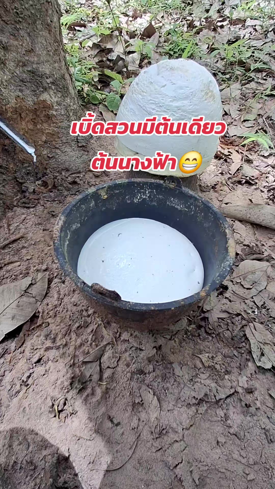@แม่อ้อยเกษตรกรออนไลน์