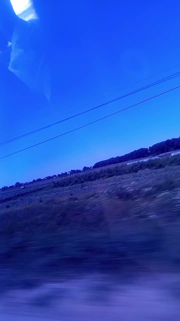 @Gadirova97 🐾