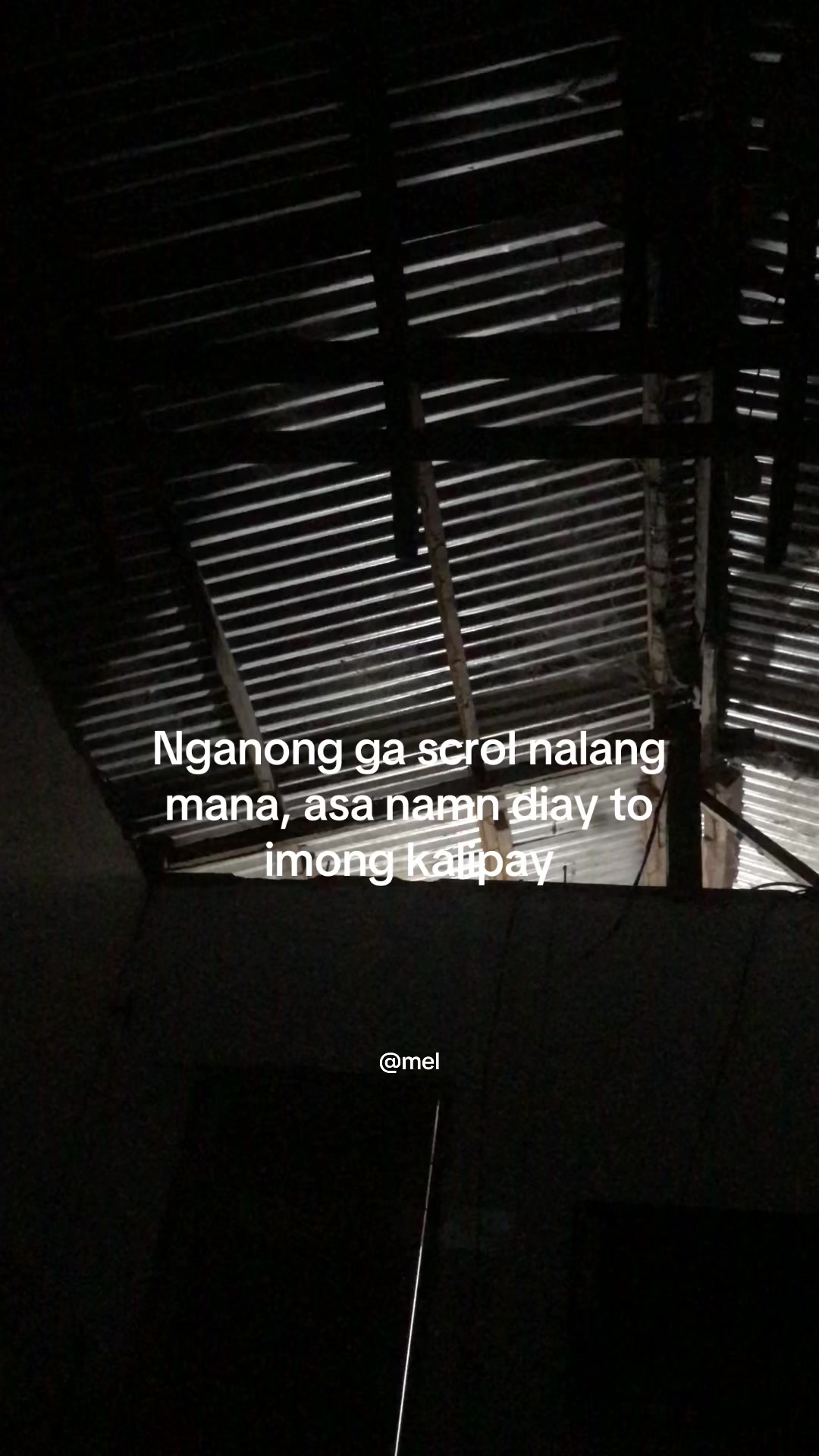 @leomel💤
