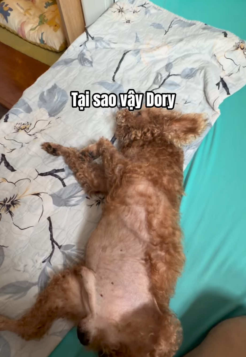 @Cái phòng nhỏ xíu
