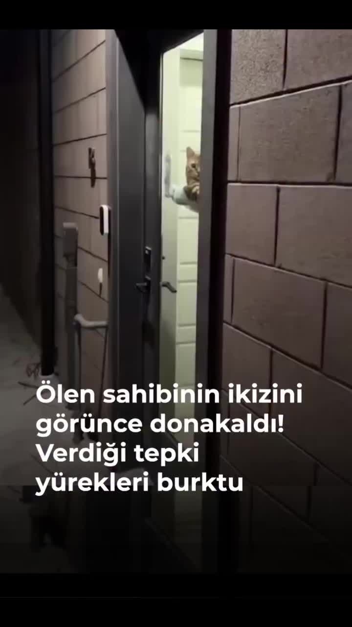 @LOSTURCOS 🇹🇷🇫🇷