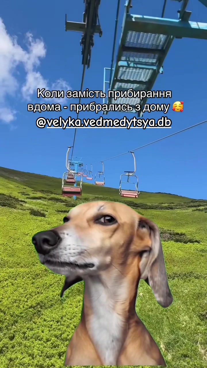 @Anastasiya Kravets