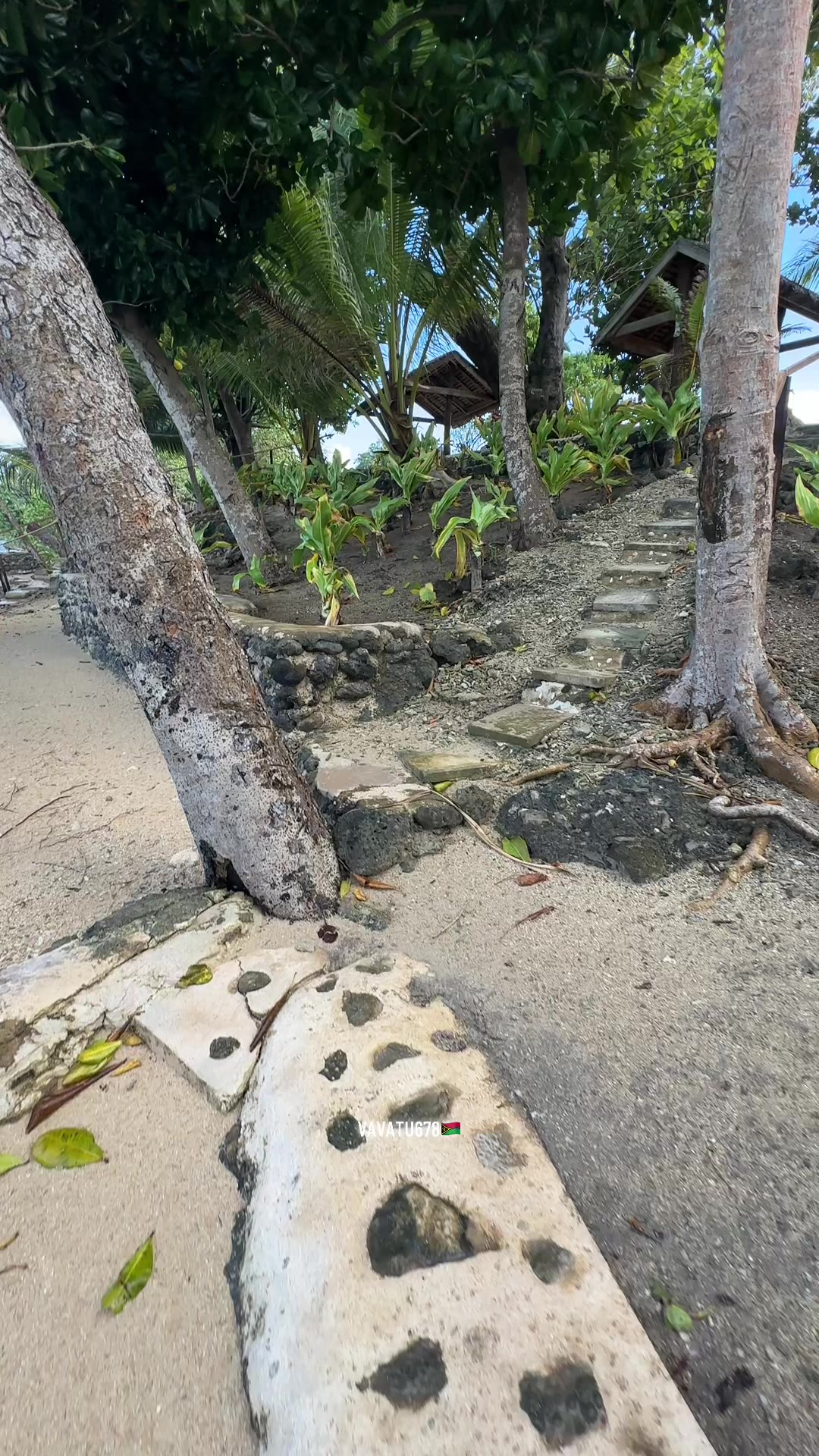 @VAVATU678🇻🇺
