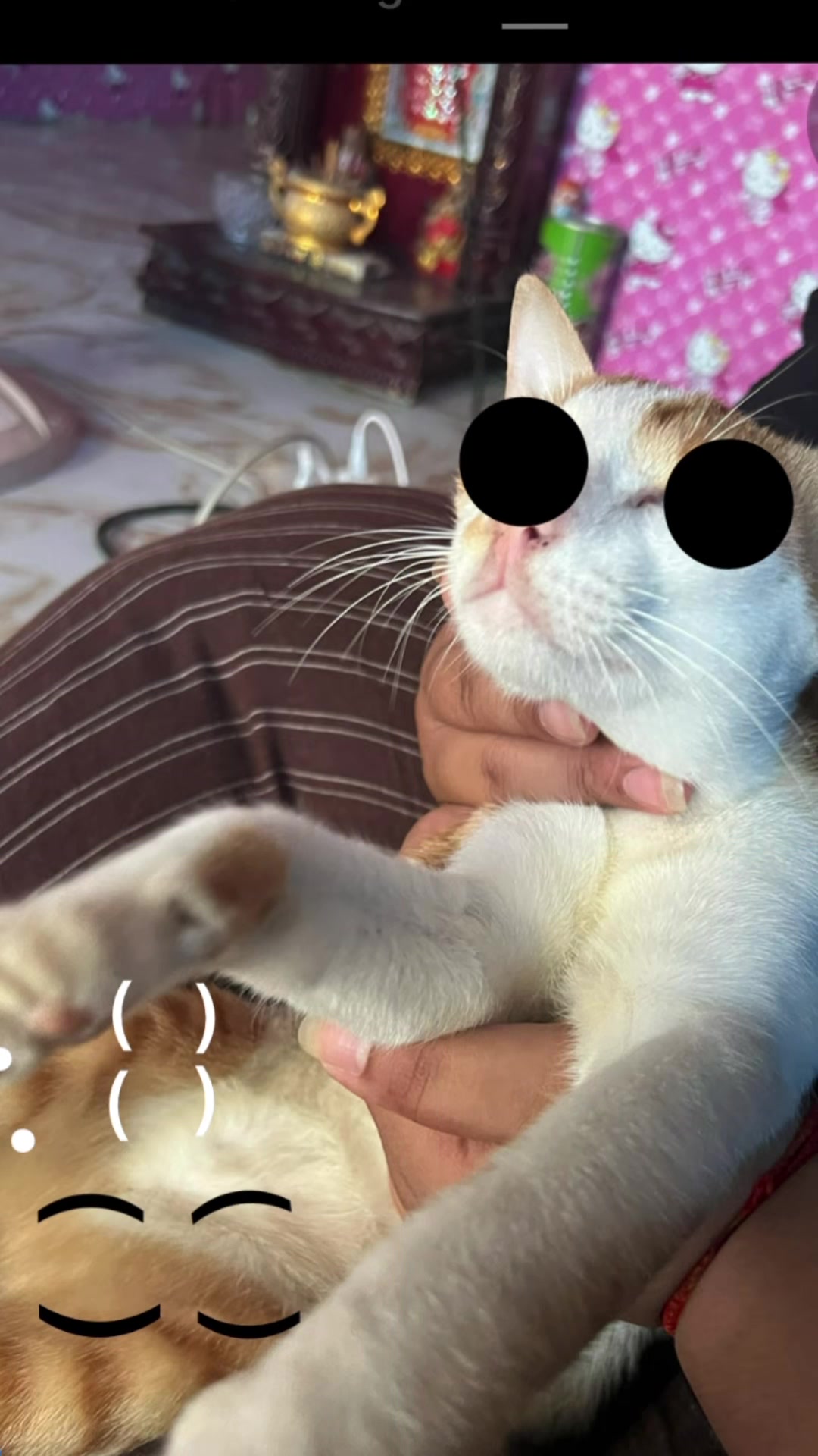 @នរេន្រ្ទ from greedy city🦭