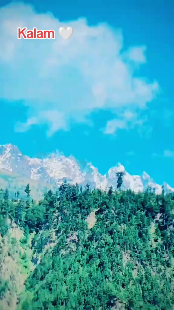 @𓆩𝙎𝙖𝙧𝙙𝙖𝙧 𝙔𝙖𝙨𝙞𝙧𓆪👑