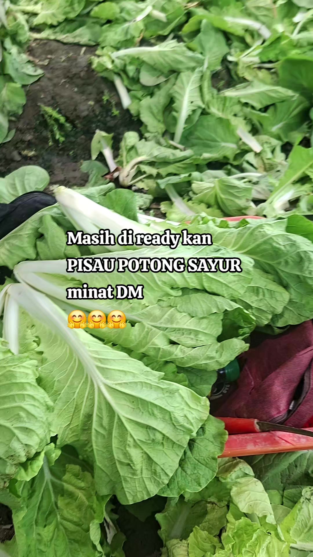 @Zhyn'TAUCE🔪🇲🇨🇹🇼🐅