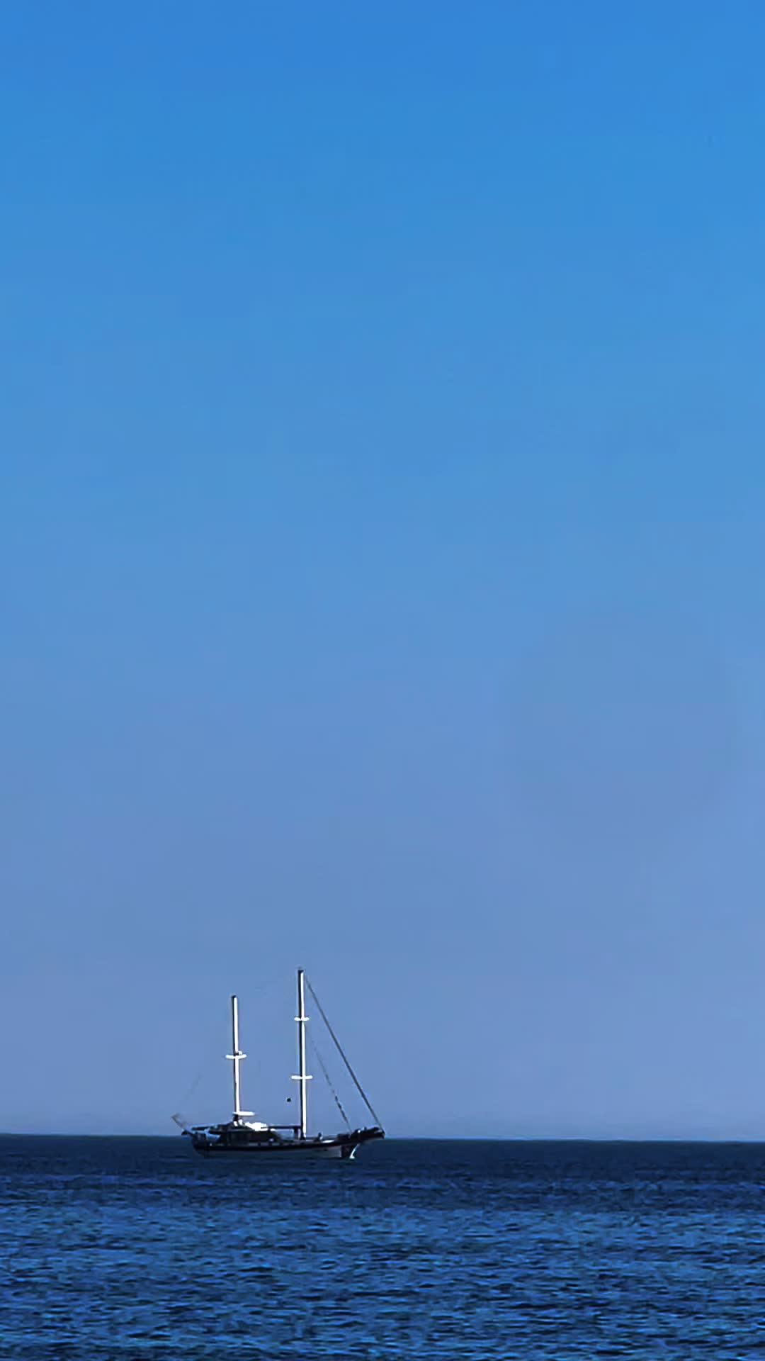 @๐๐ค