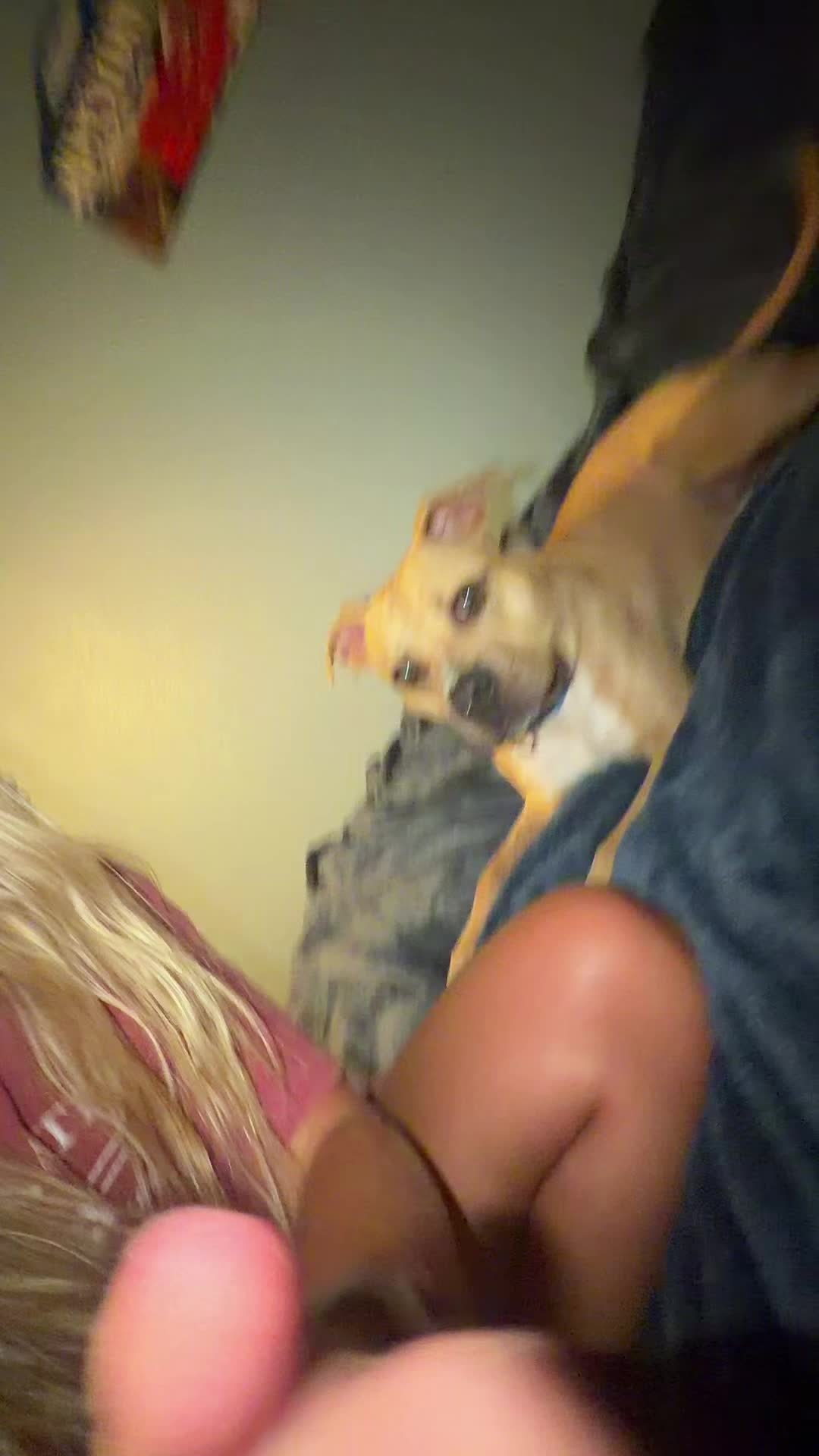 @Reagan_h