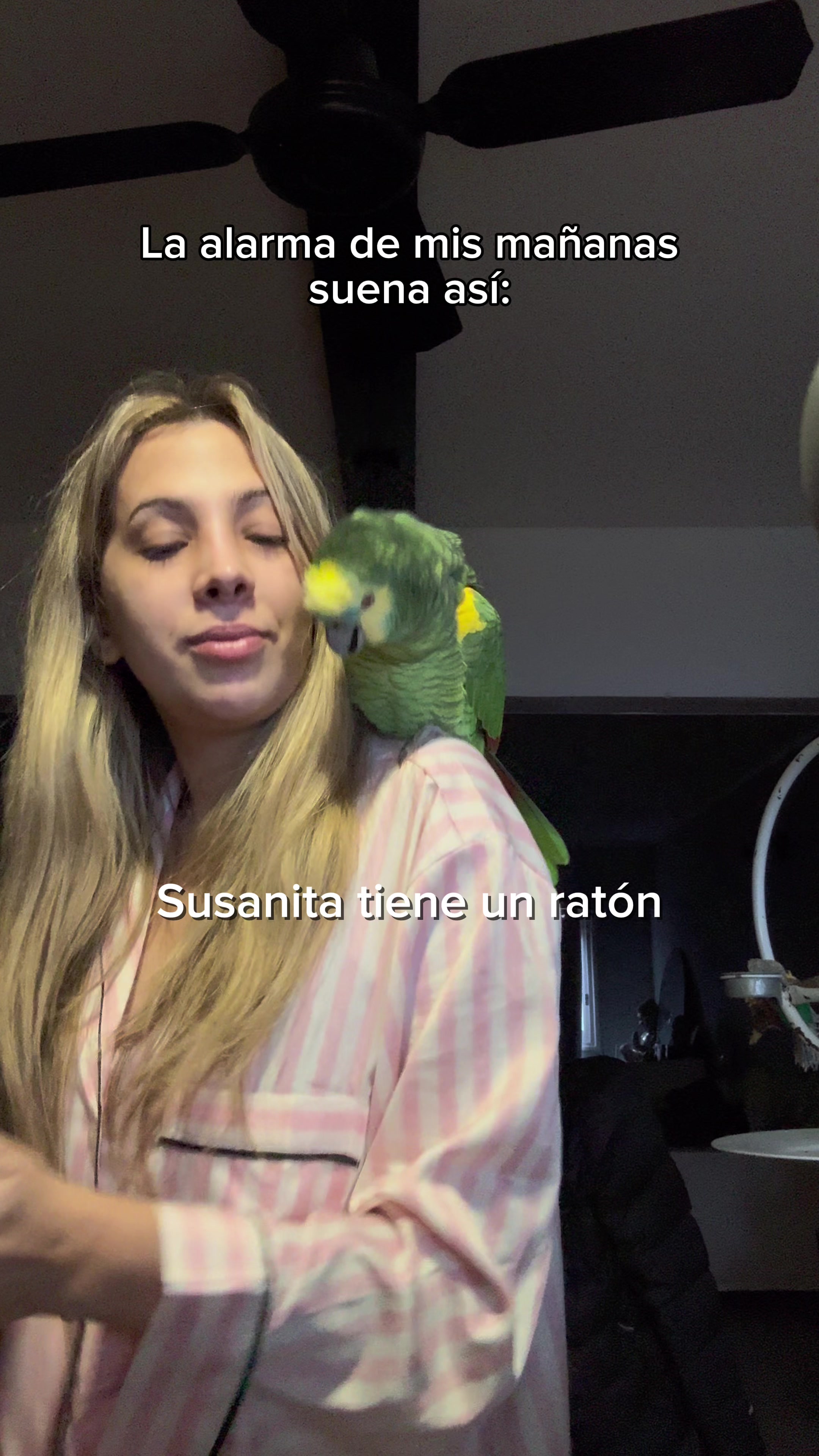 @Lucia Serenaa
