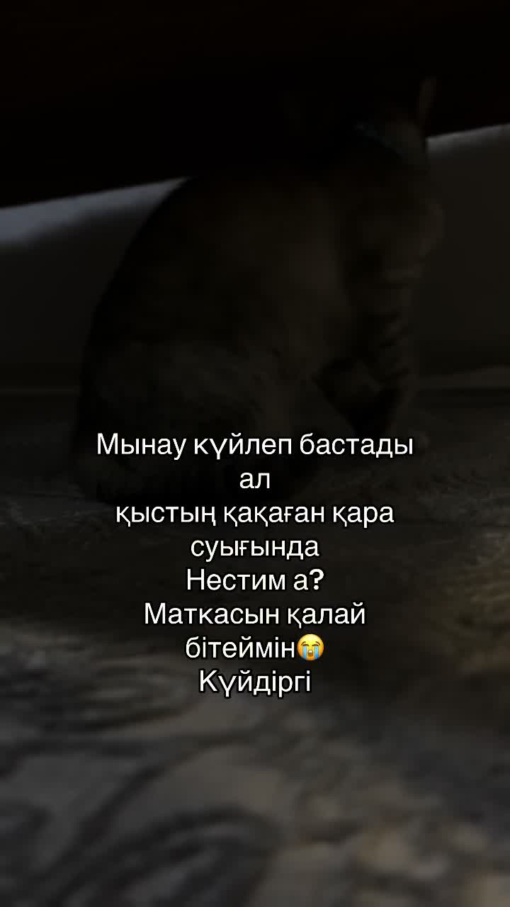 @boni04akx