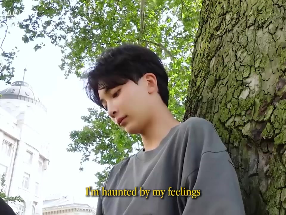 @xels ๐ผ