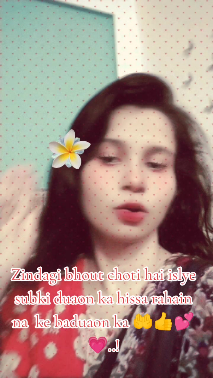 @Hibu tiktok