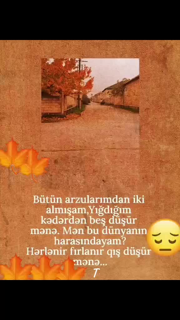 @Toma.T