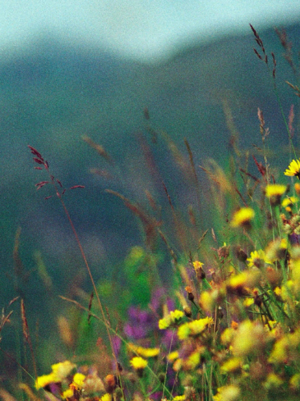@theyearning.archive