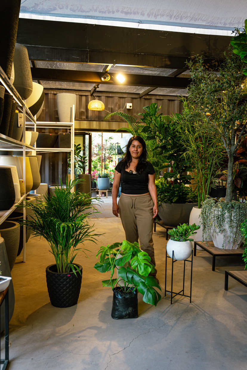 @Macetare Garden Shop Ecuador