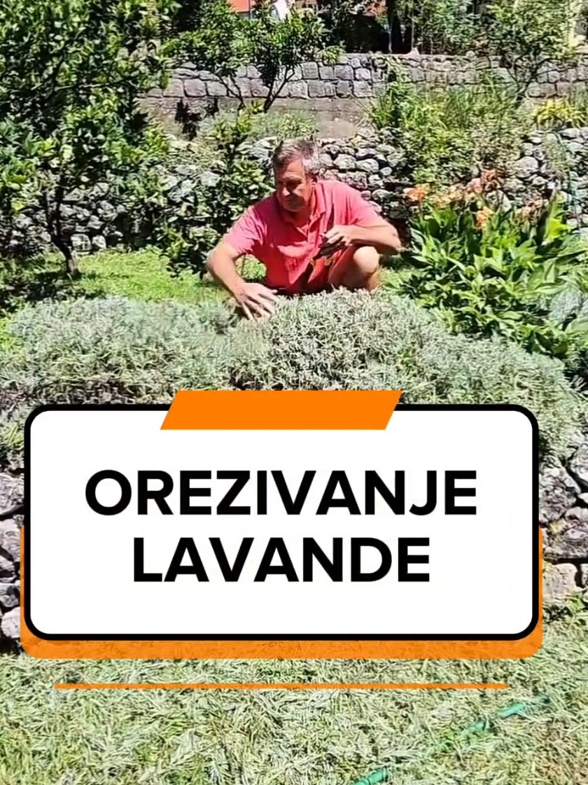 @Dejan Dragićević
