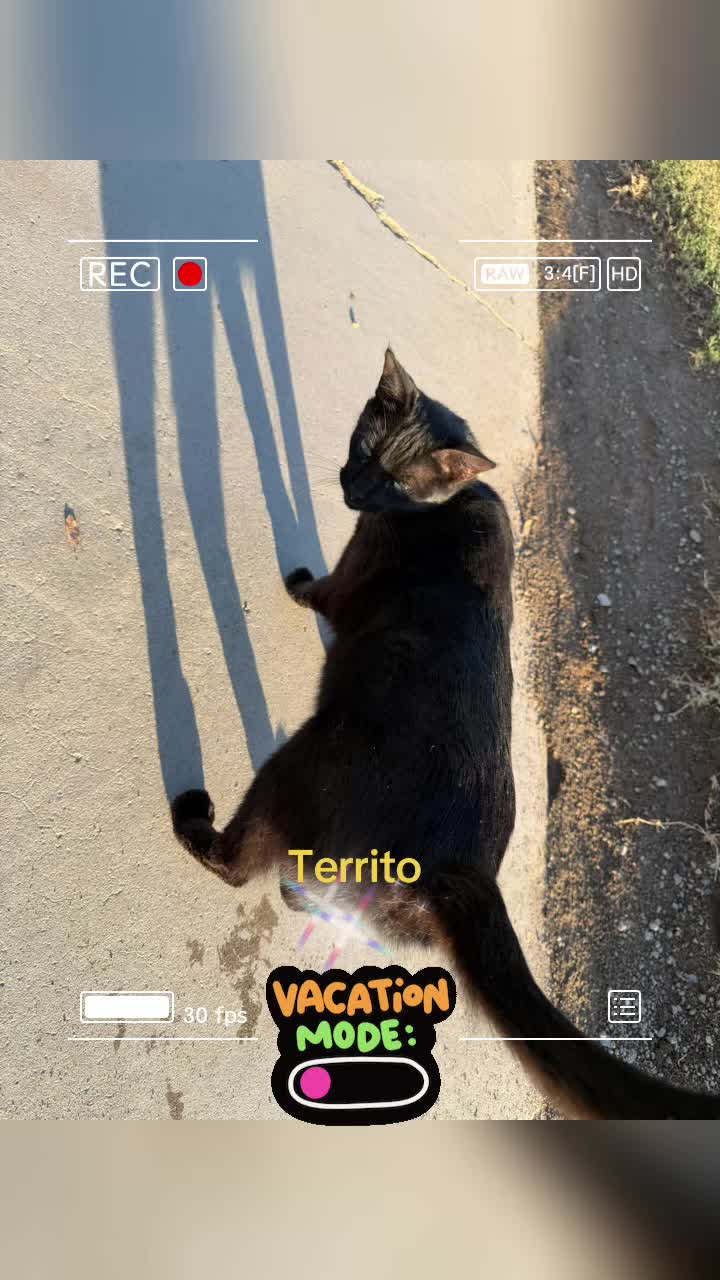 @Amri Gatitos