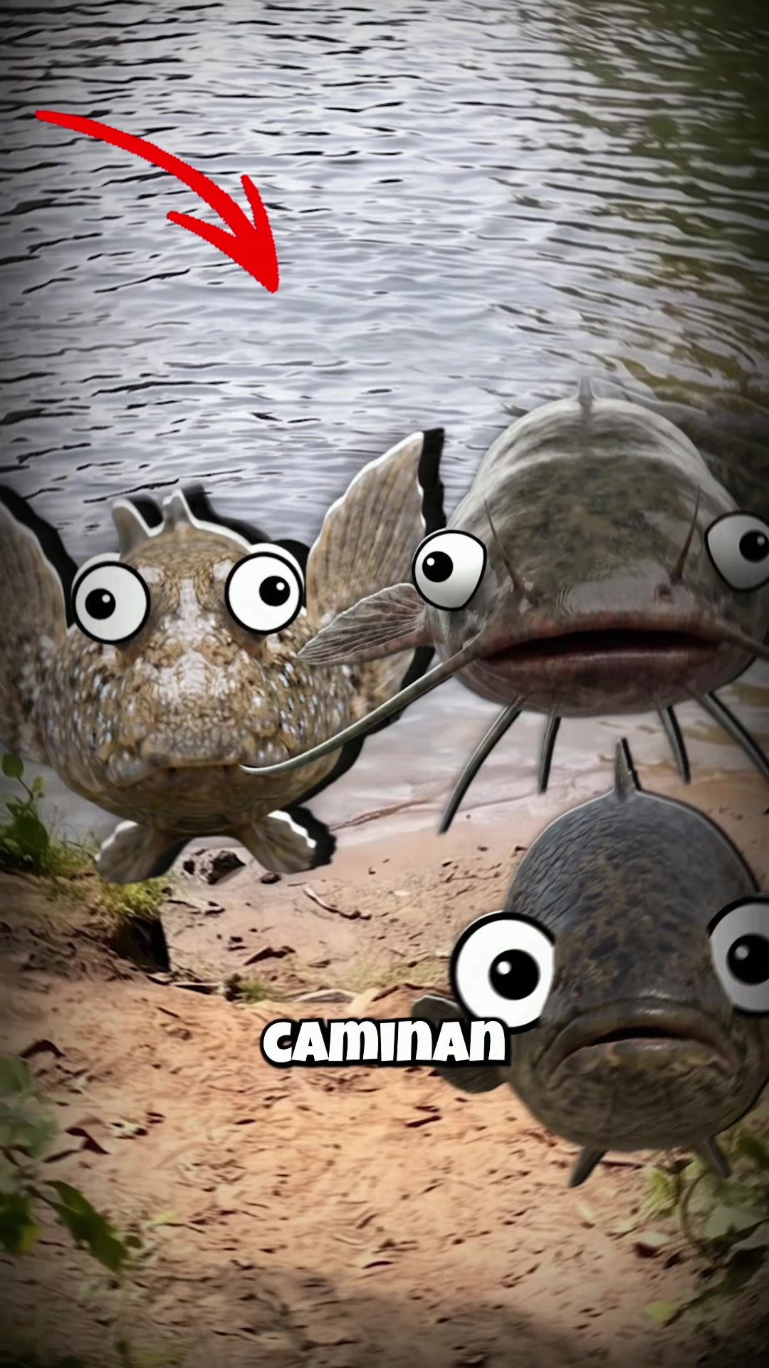 @GabSolf