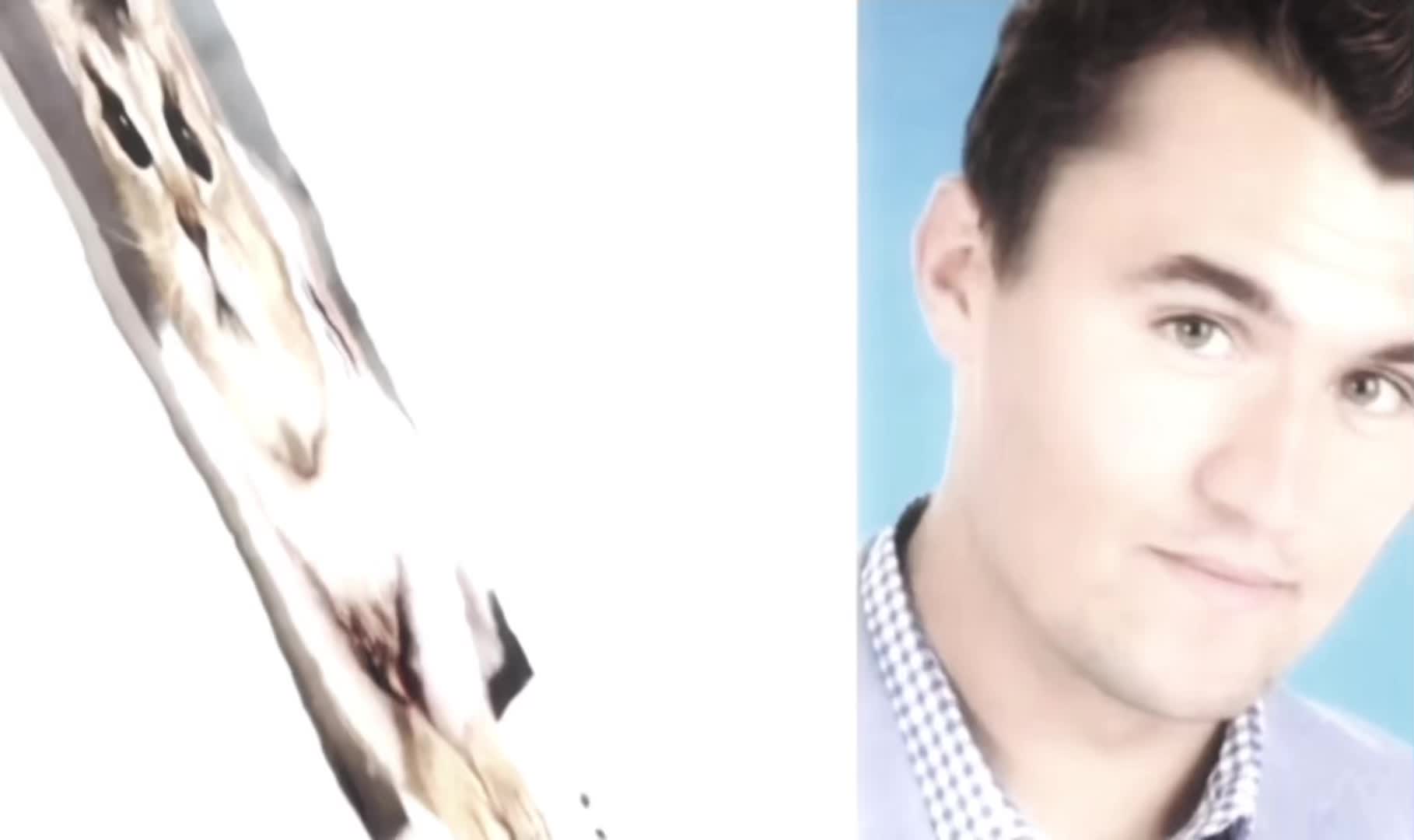 @🌟