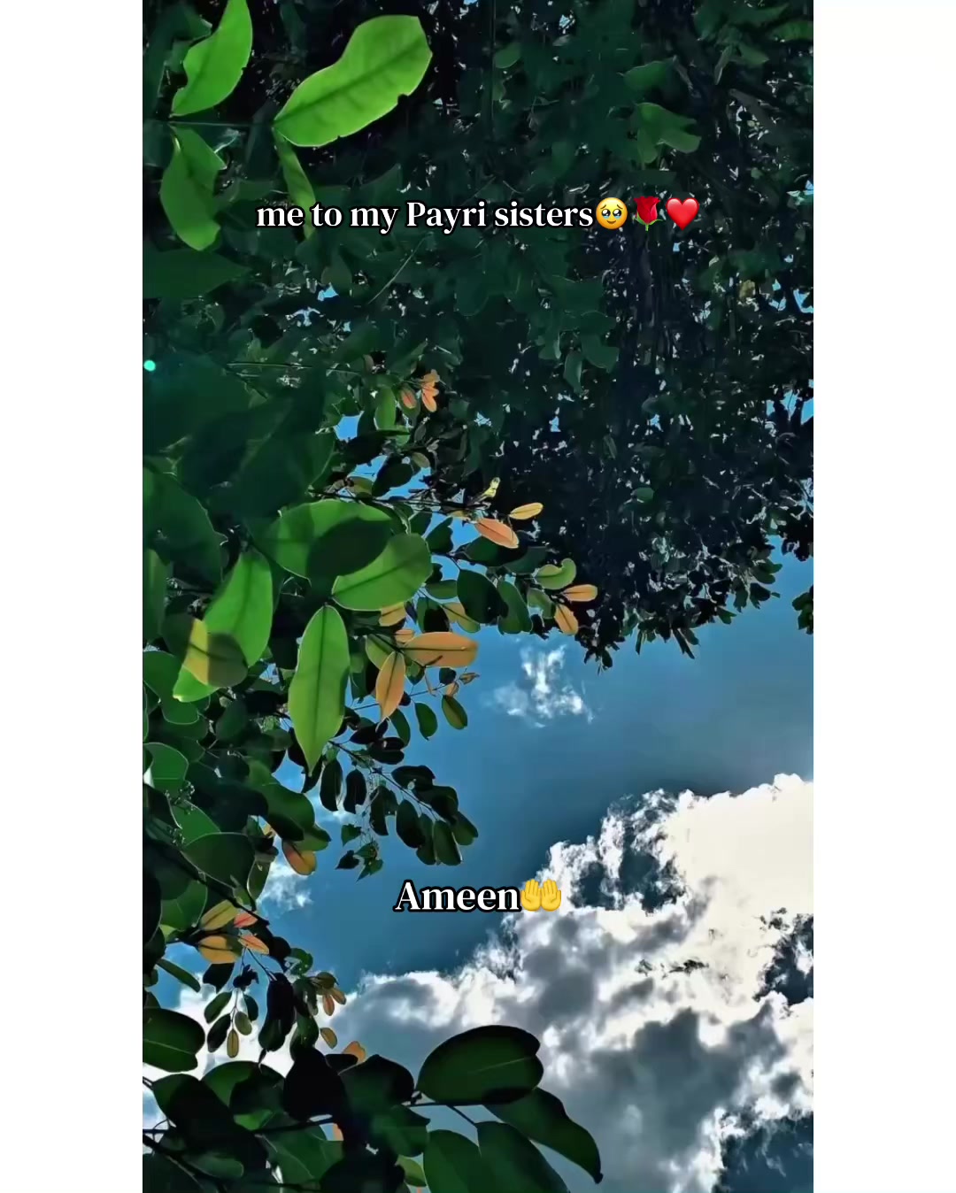 @✨ＫＨＯＫＨＲ❤️&zwj;🩹