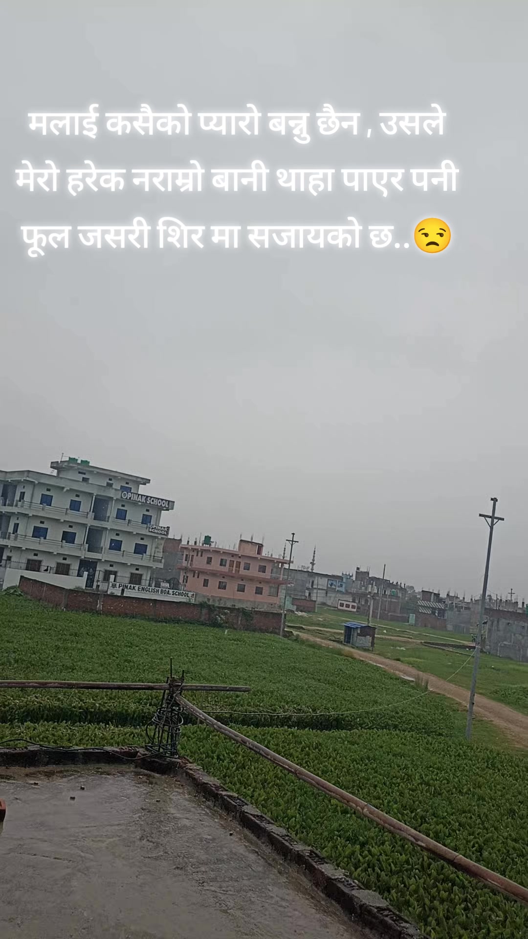 @Biva Shah