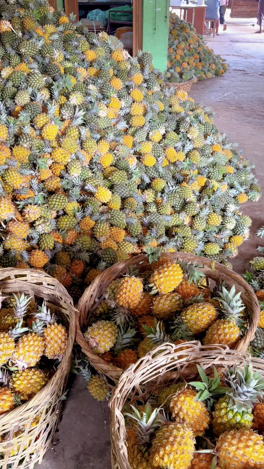 @Visit Pyin Oo Lwin