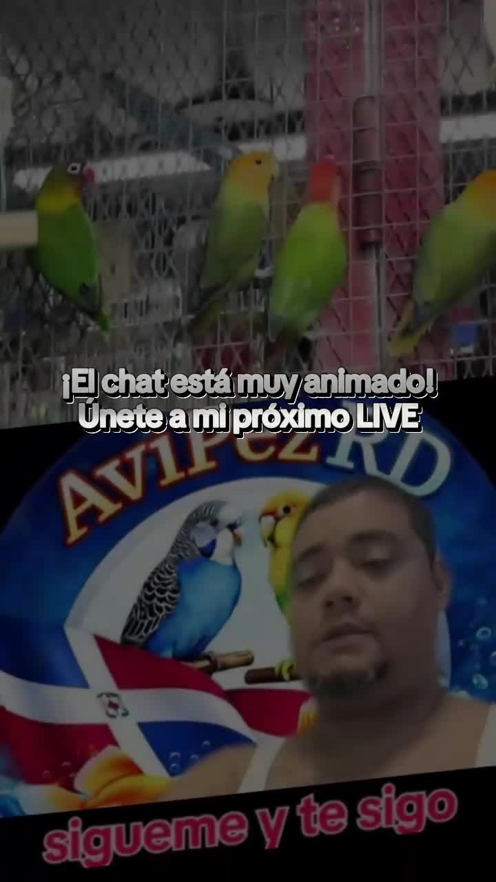 @Avipezrd