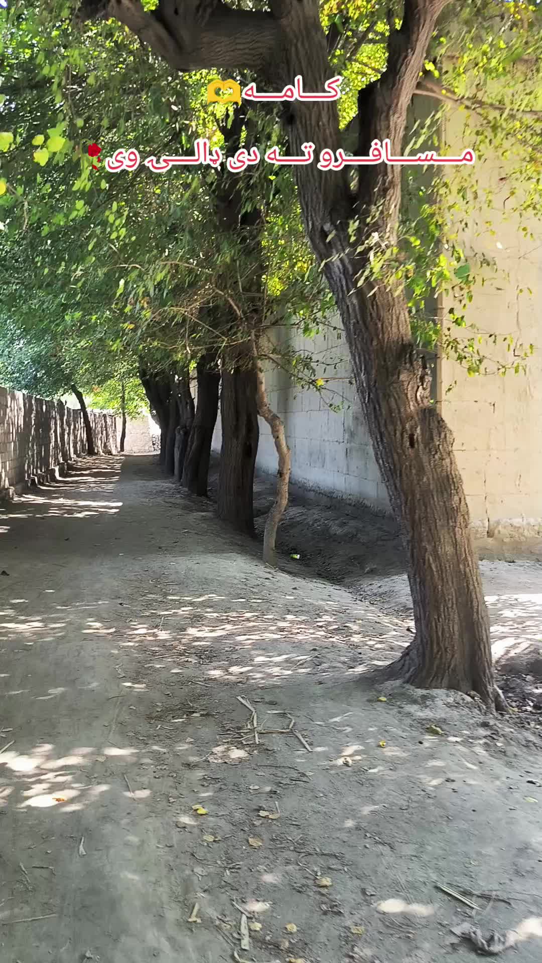@🇦🇫꧁༒☬itx کاموال☬༒꧂