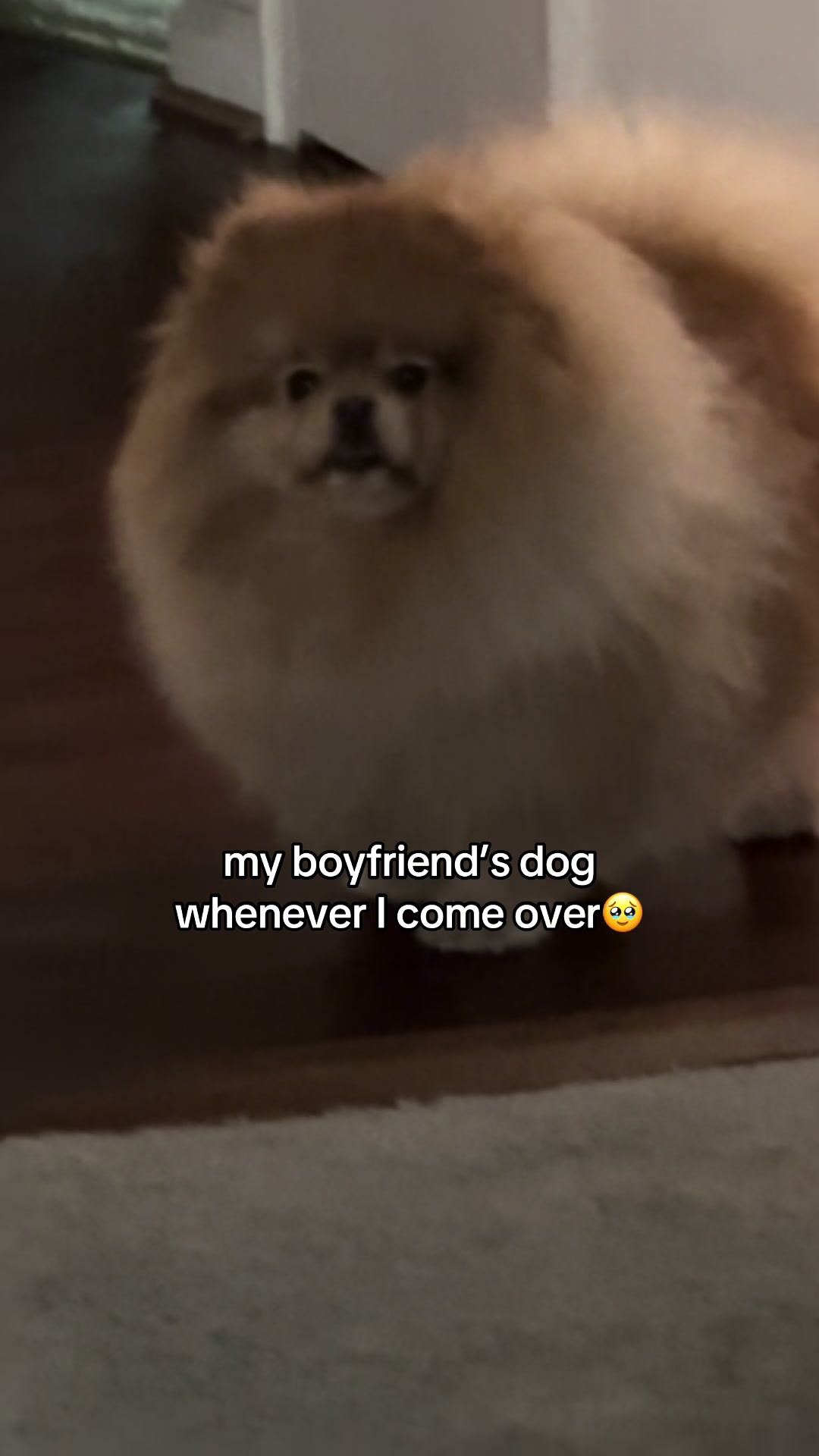 @st4rkid_