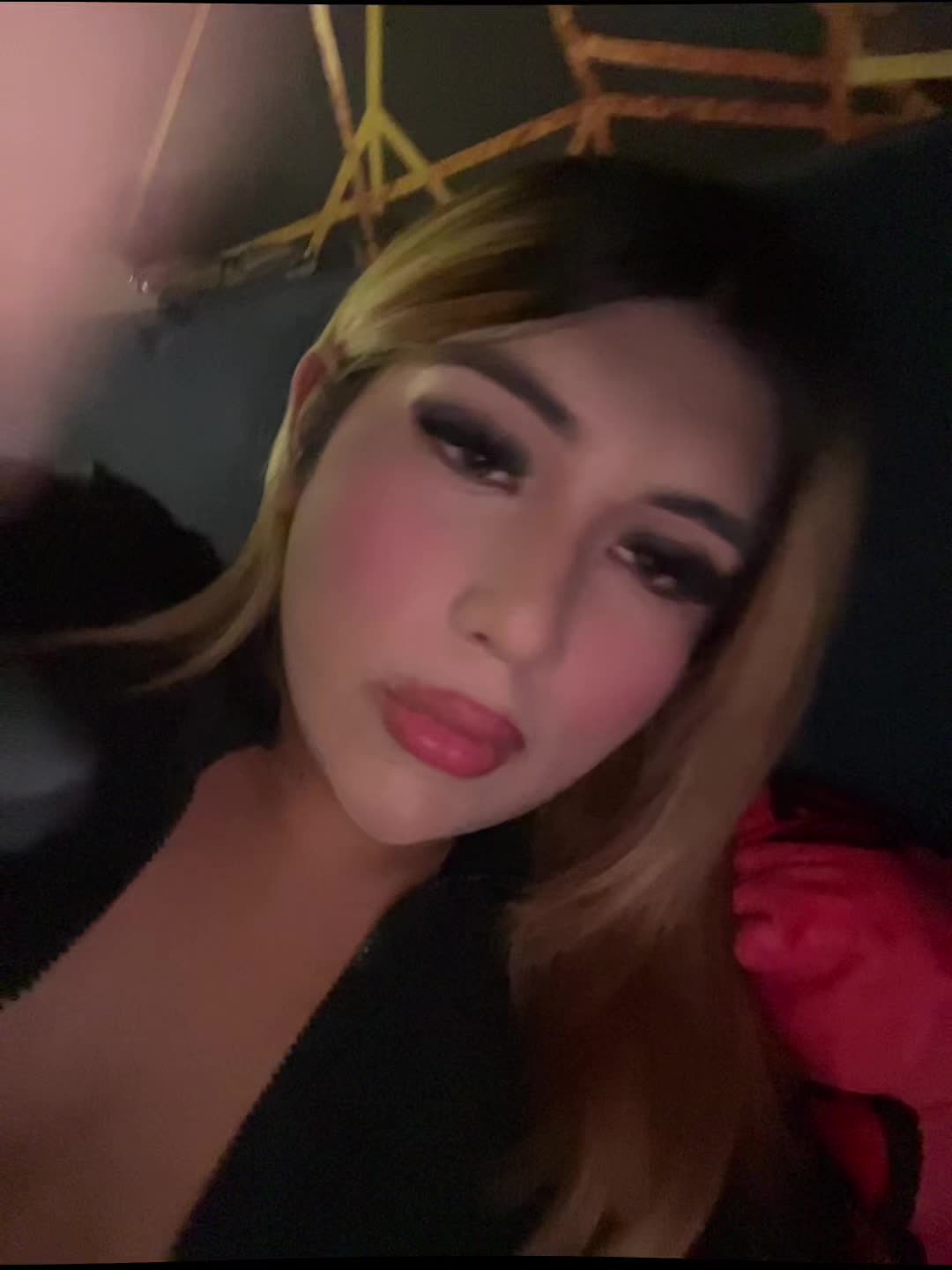 @exoticg1a