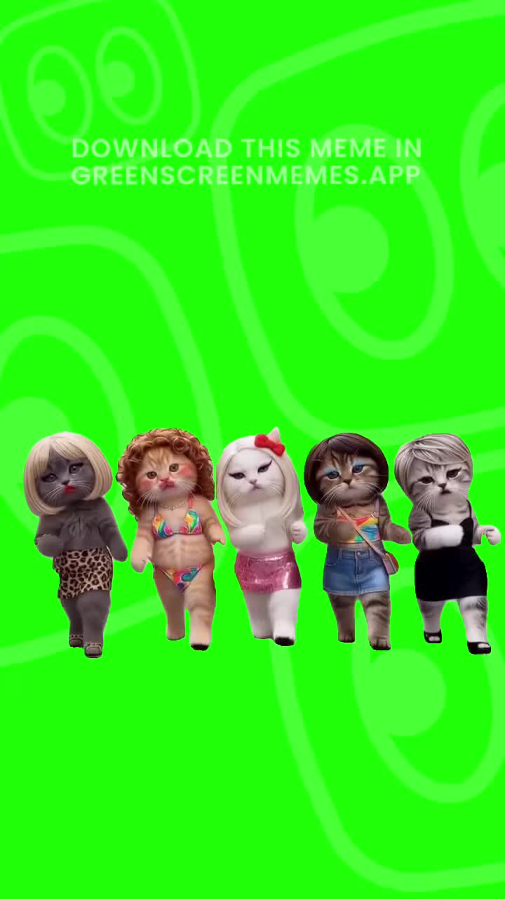 @Green Screen Memes