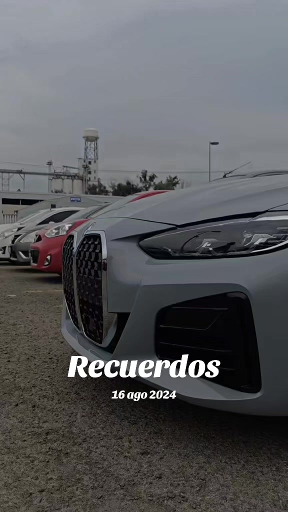 @PorckChop