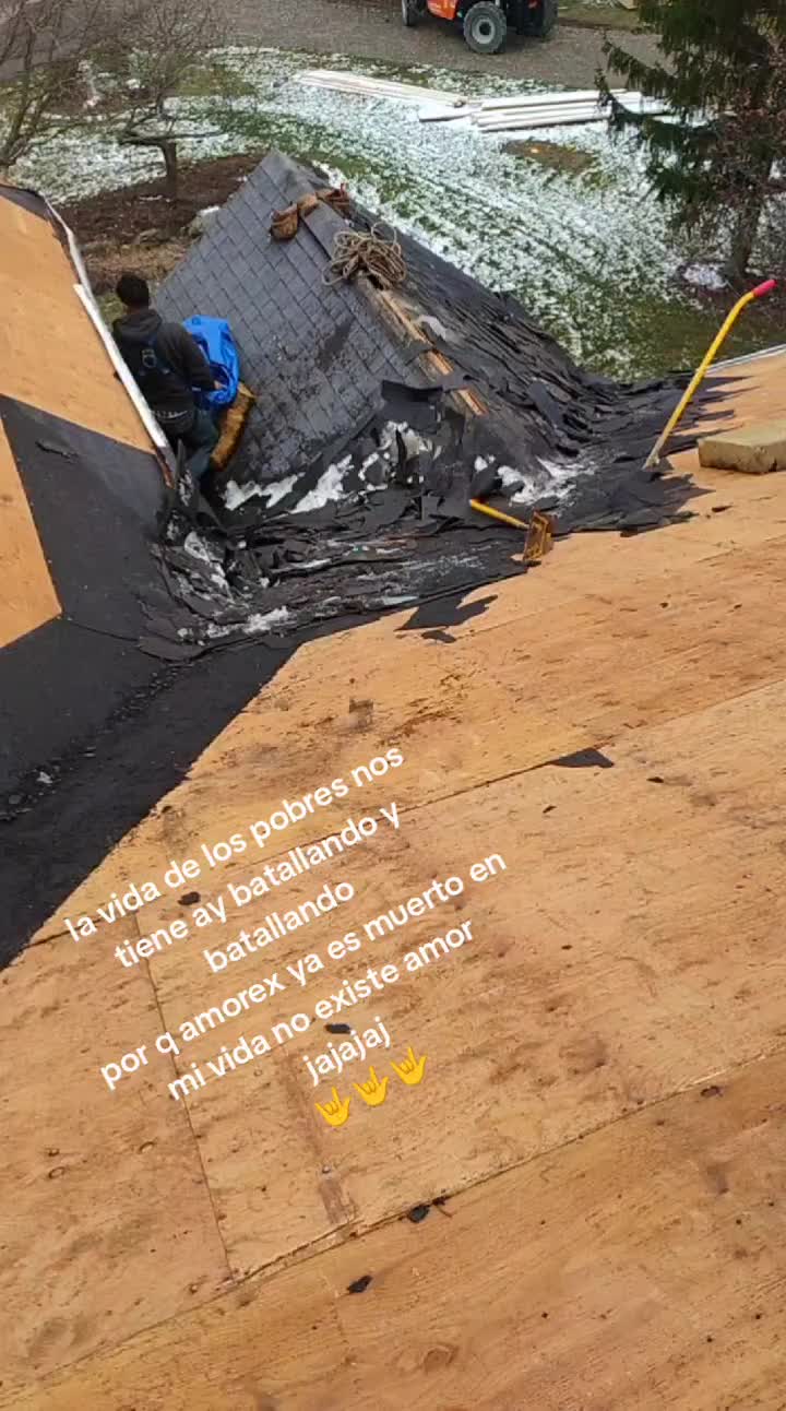 @chino lk asta la muerte