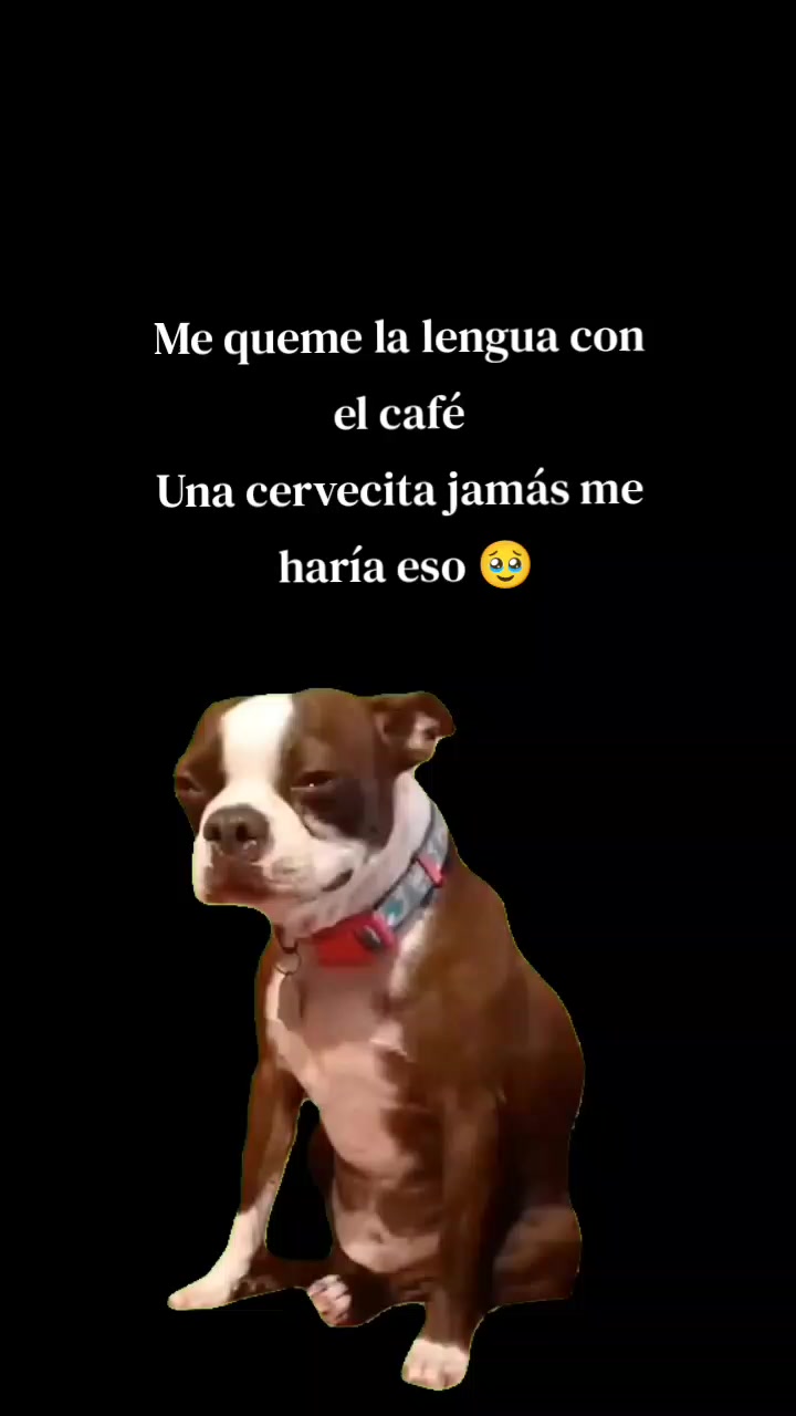 @Rosita Muñoz