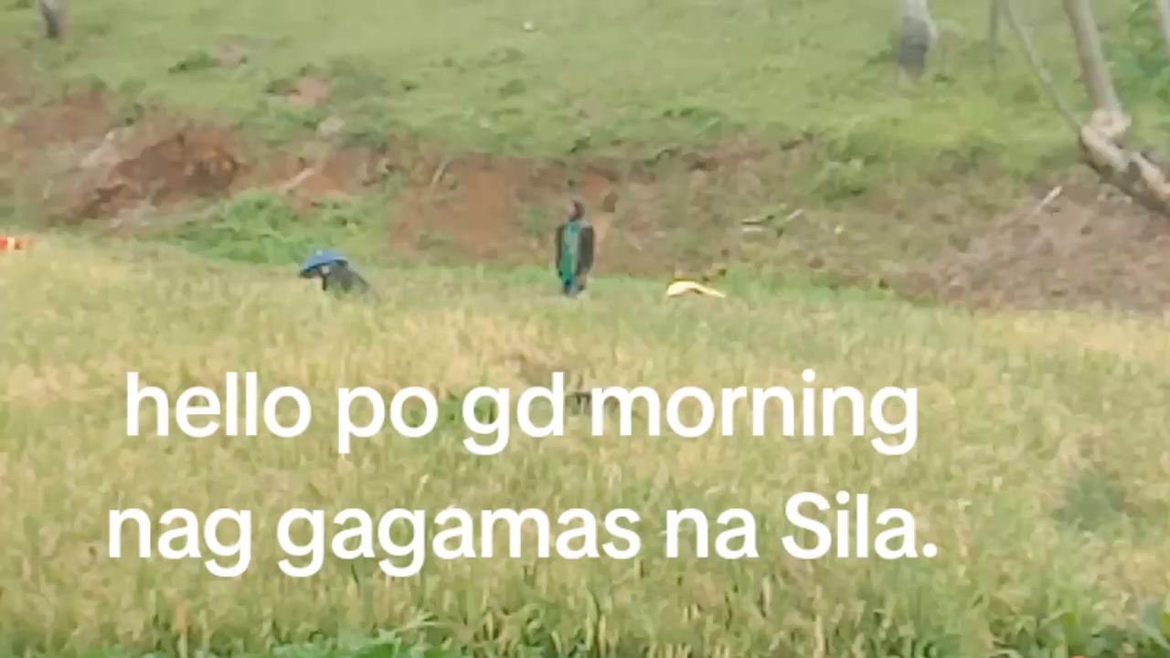 @Andrea Vales