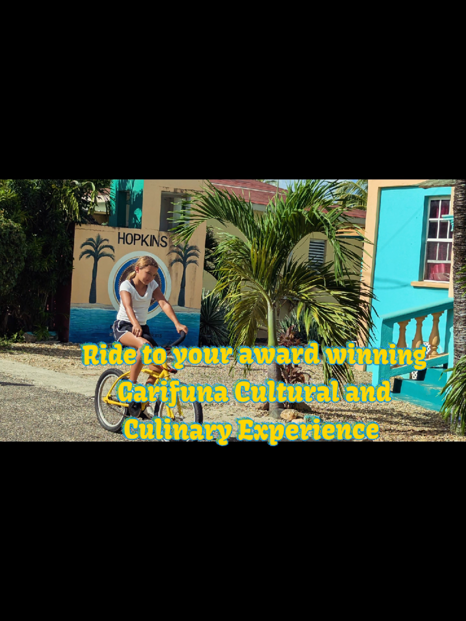 @Palmento Grove Belize