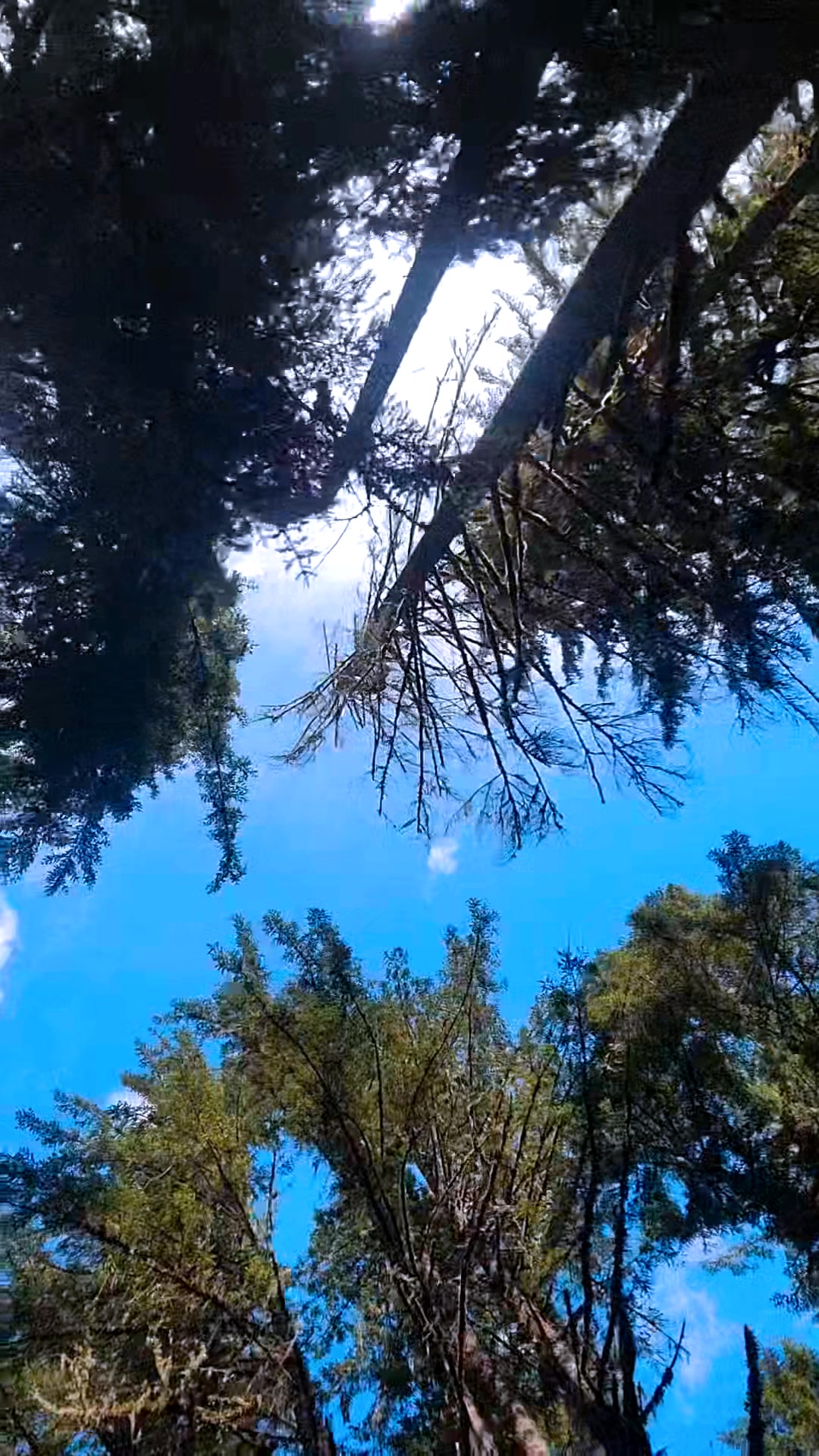@OutdoorzychickPNW