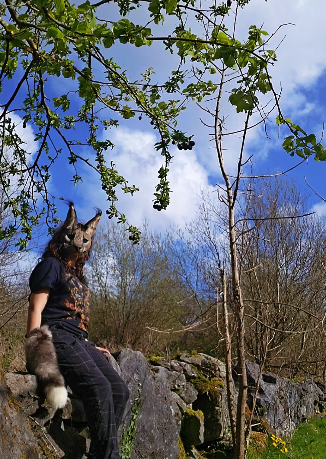 @cauldron.cat
