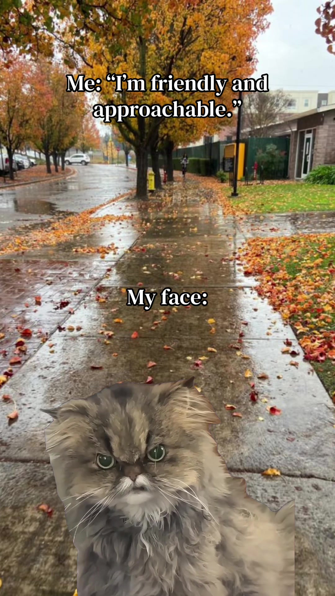 @𝑅𝒶𝓃𝒹𝓎 𝑅𝑒𝒶𝒹𝓈 📚