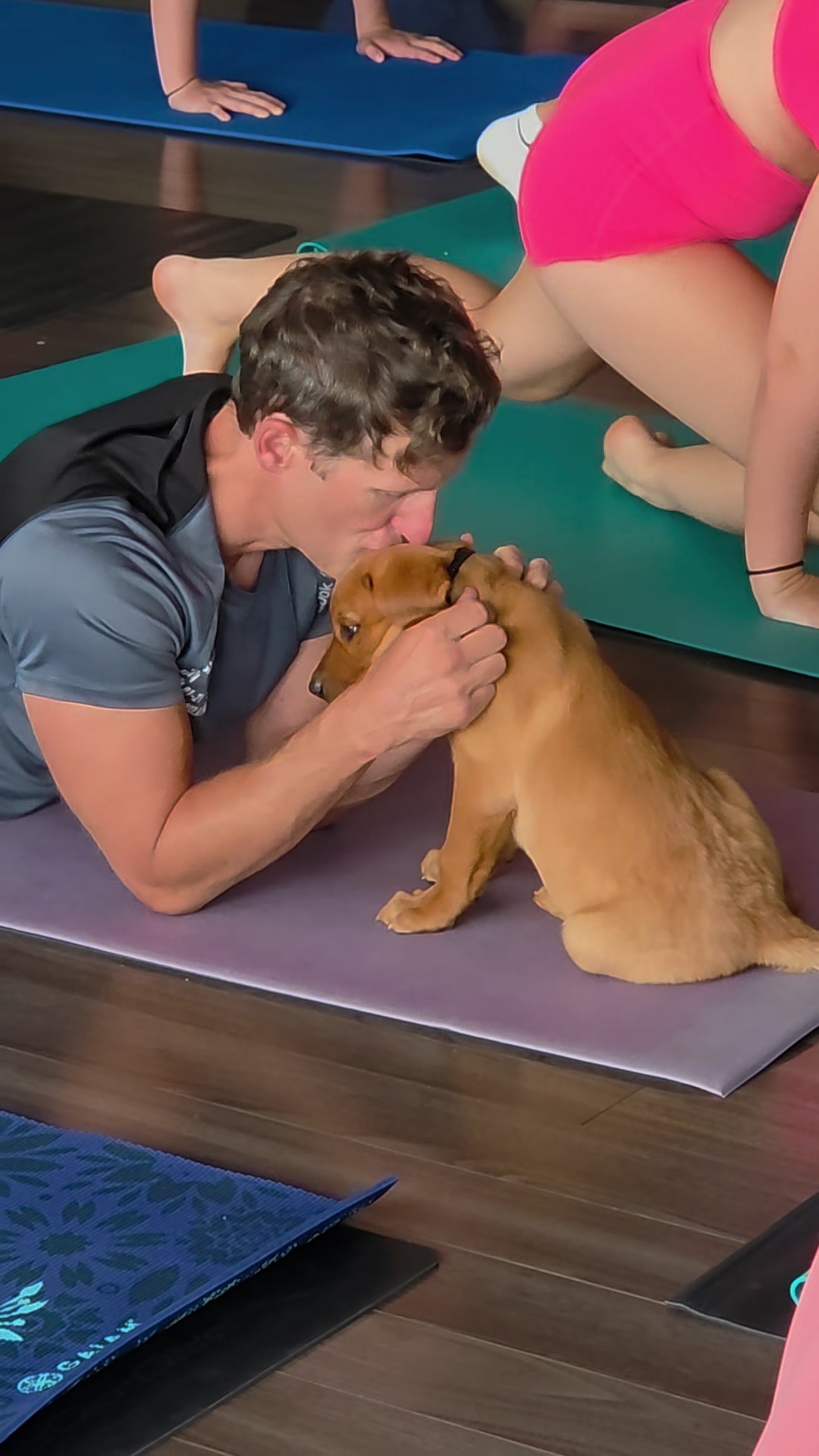 @Muskoka Puppy Yoga